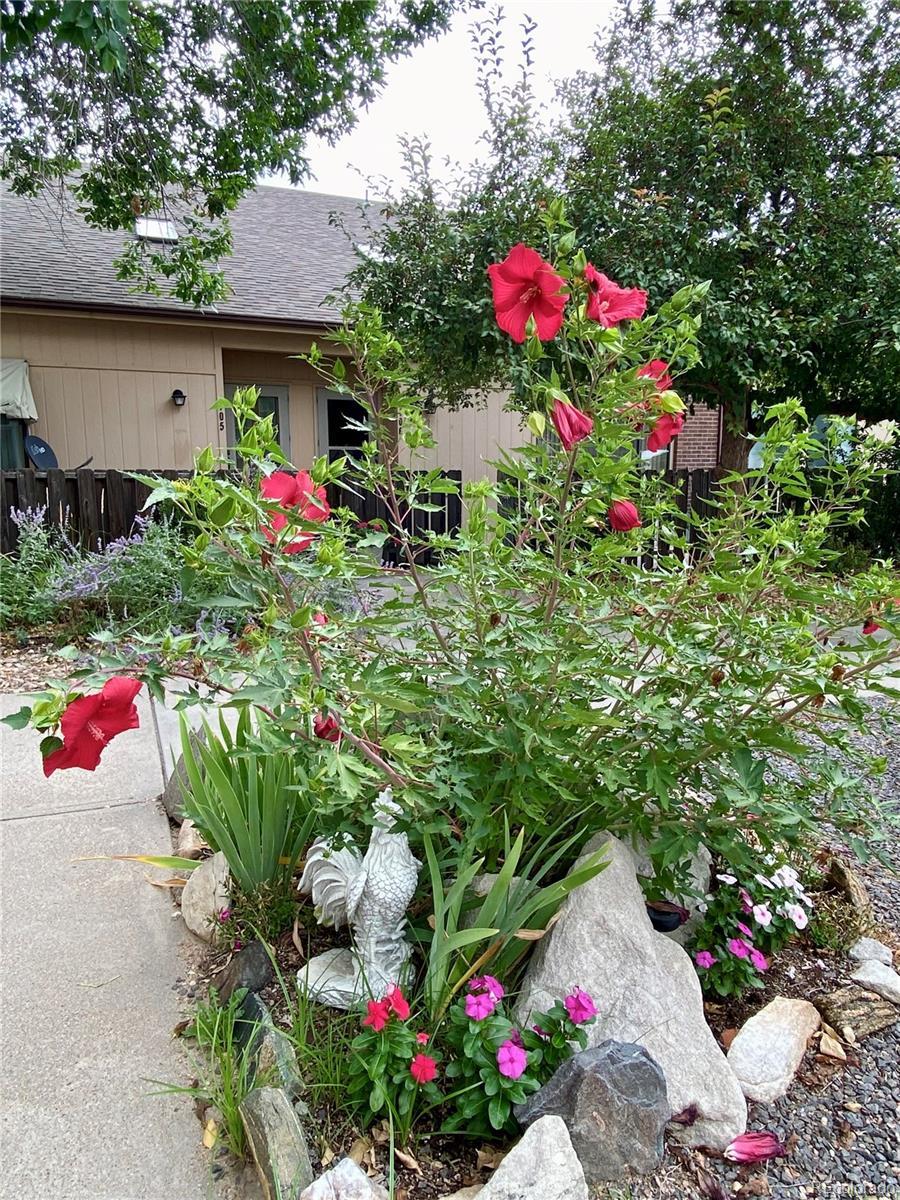 Photo of Listing #4807468