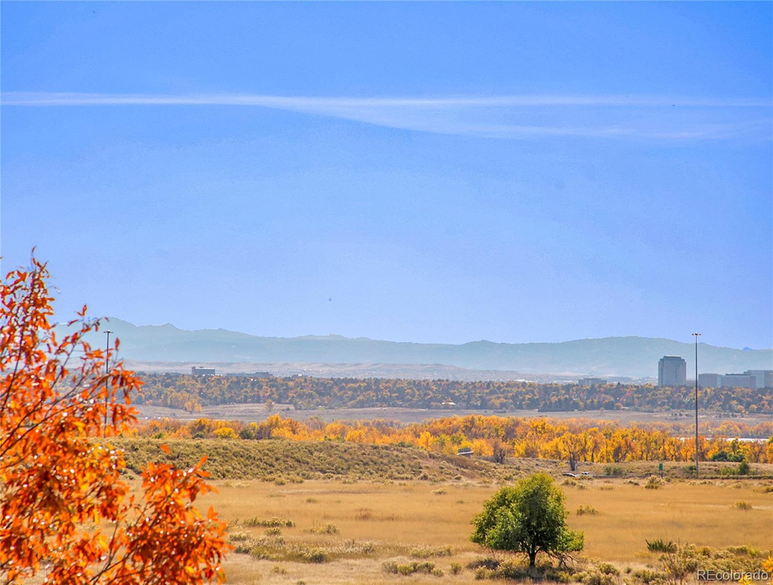 Photo of Listing #4840823