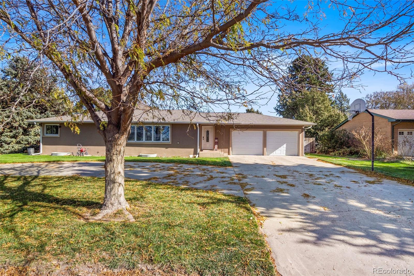 Photo of Listing #5030806