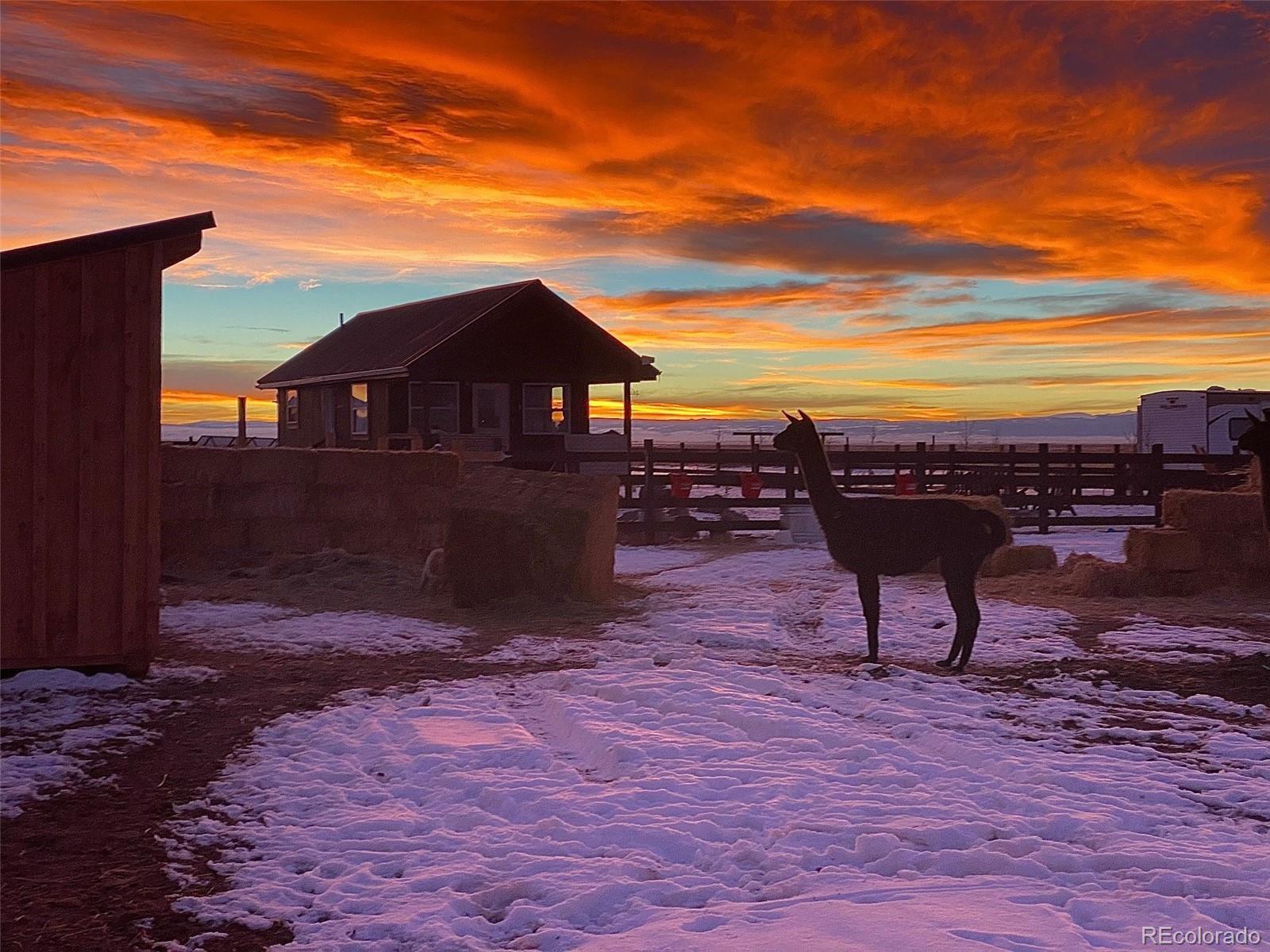 Photo of Listing #5097546