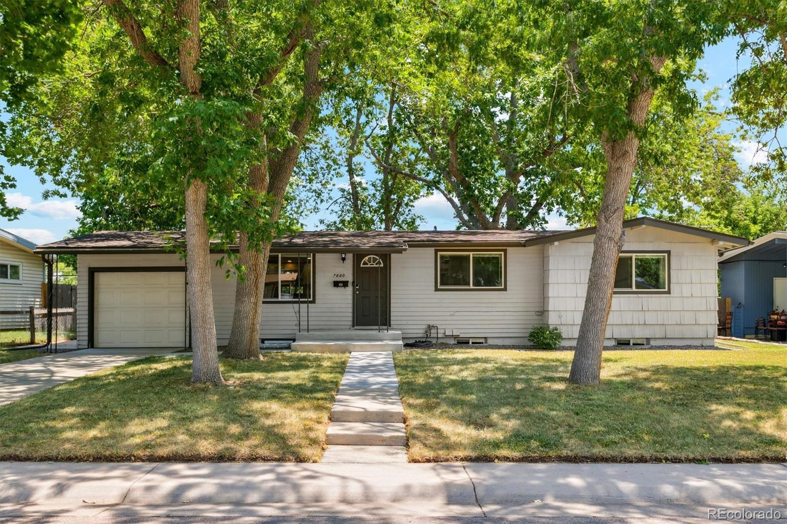 Photo of Listing #5463292