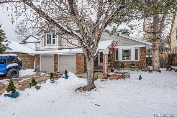 Photo of Listing #5469856