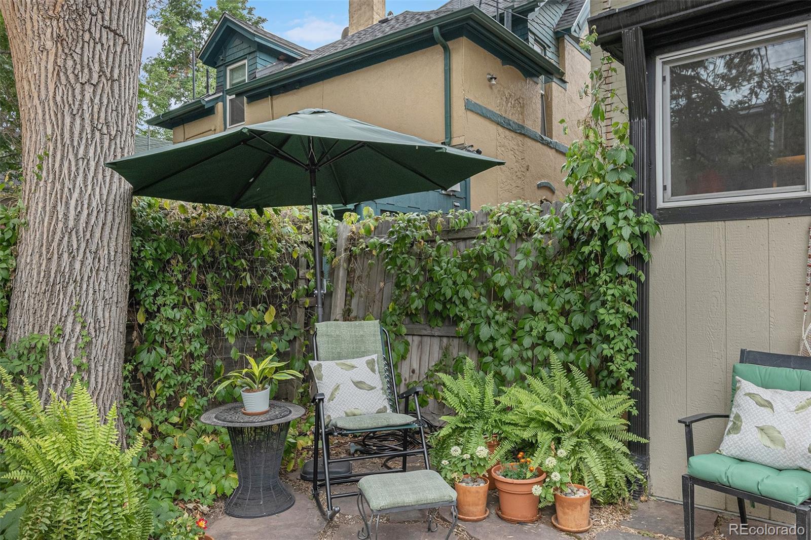 Photo of Listing #5495997