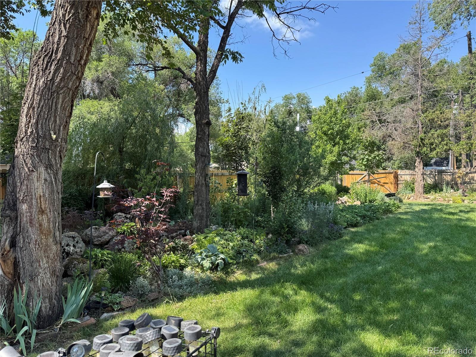 Photo of Listing #5562861