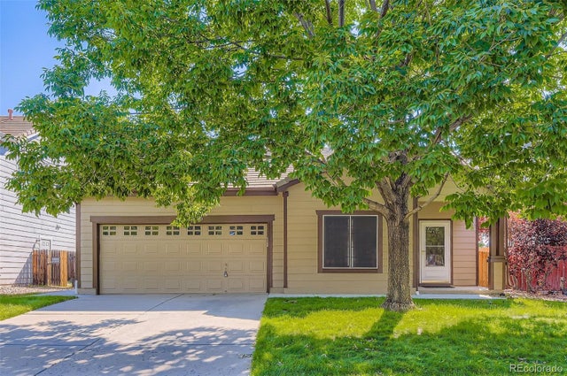 8346 S Reed Street, Littleton