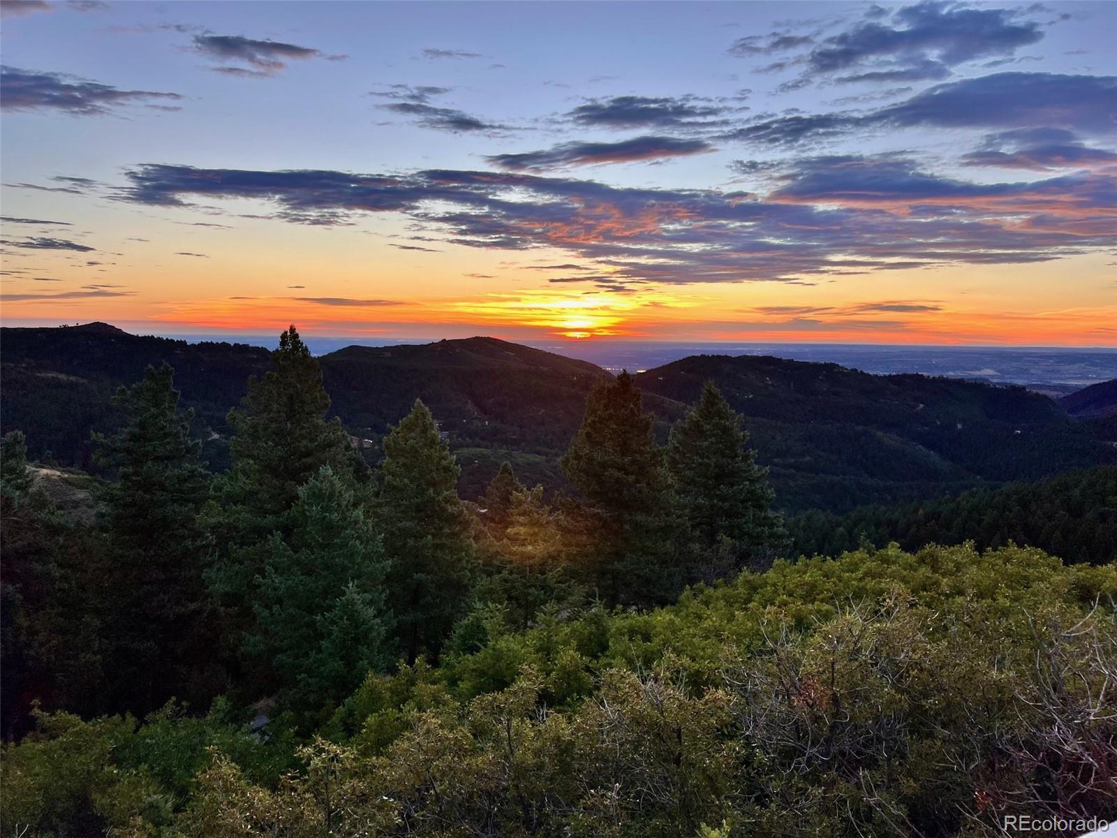 Photo of Listing #6039584