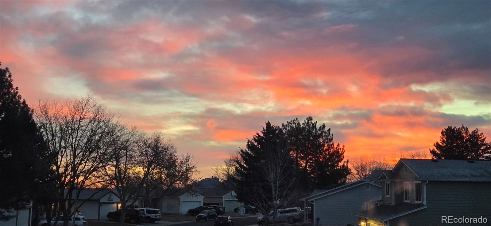 Photo of Listing #6515682