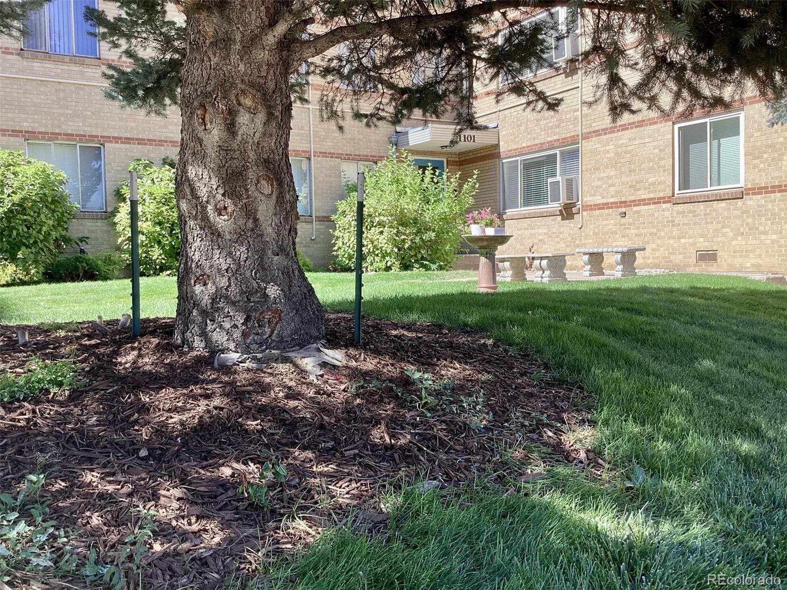 Photo of Listing #6540667