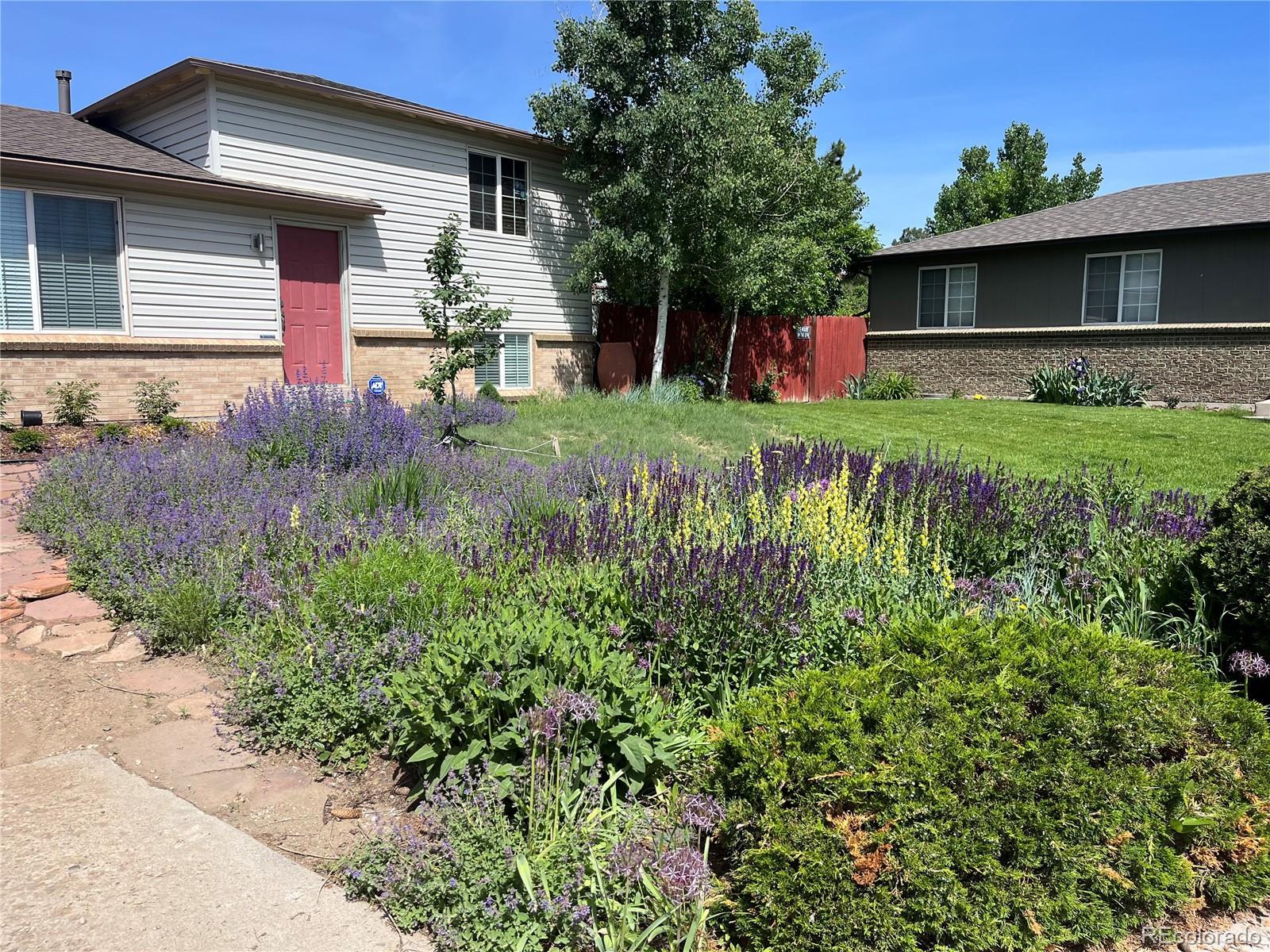 Photo of Listing #6936617