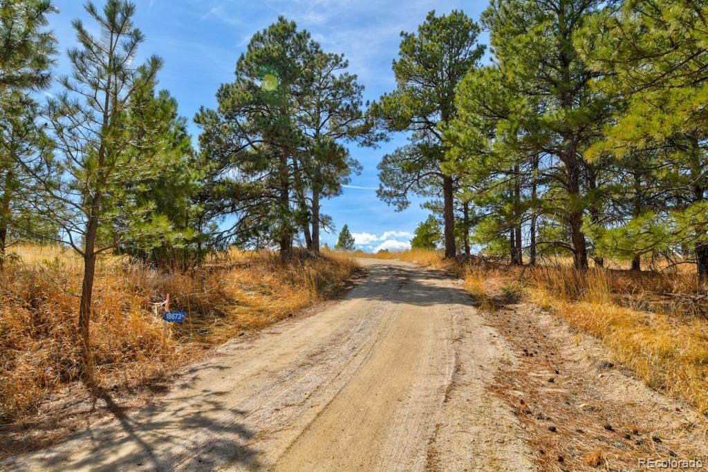 Photo of Listing #6948146