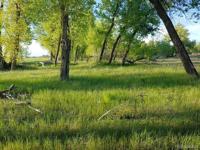 Photo of Listing #7563859