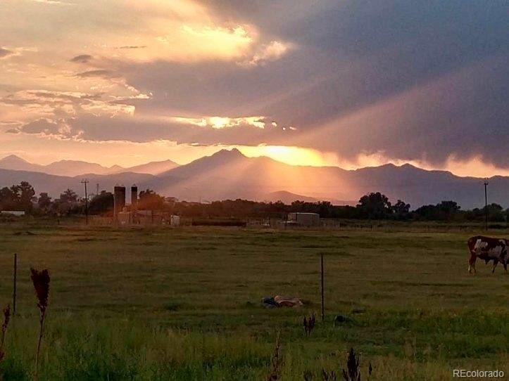 Photo of Listing #8249932