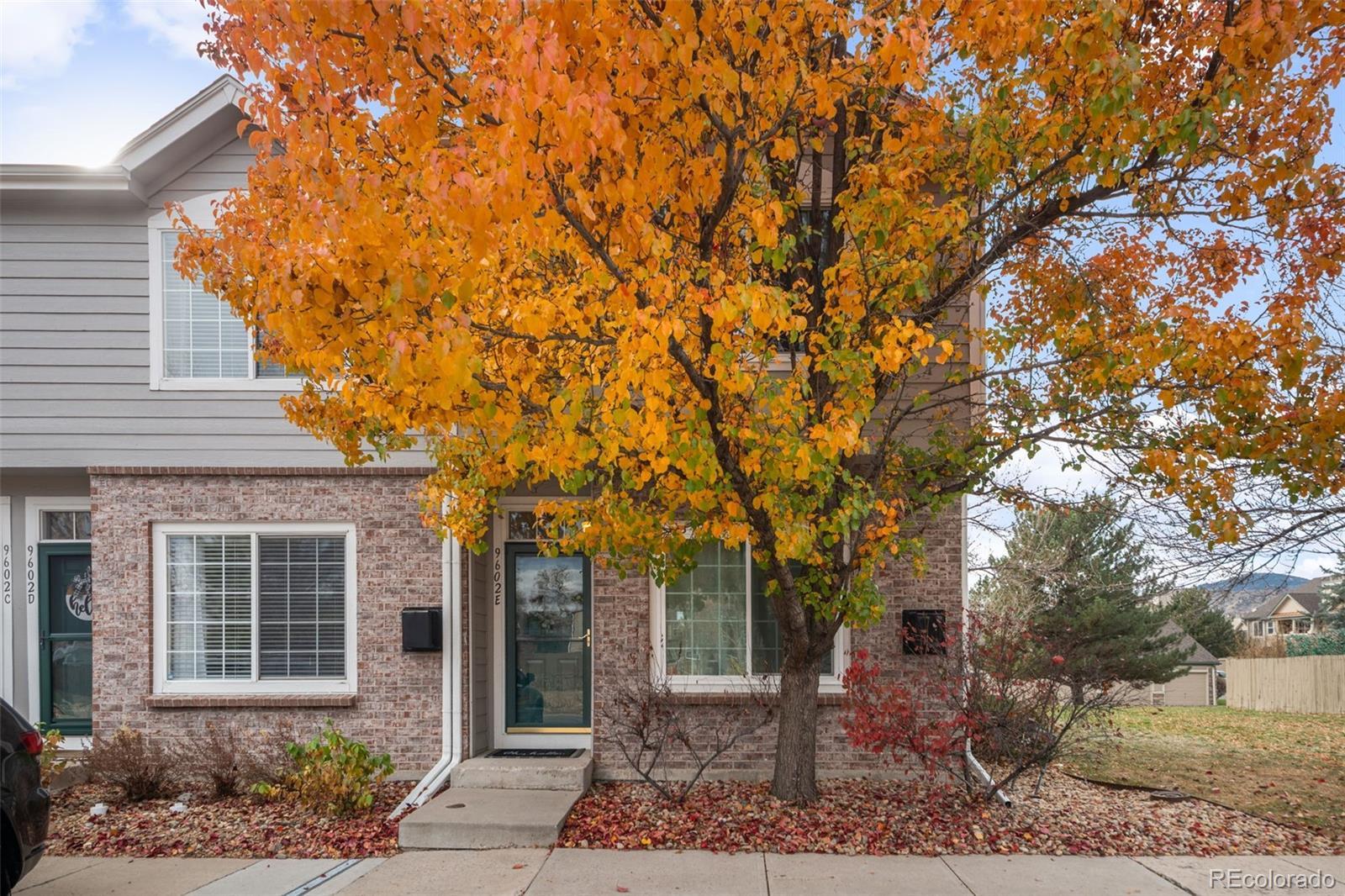 Photo of Listing #8445825