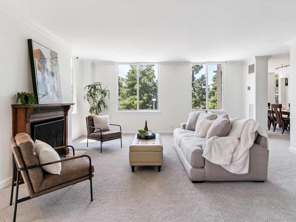 1111 Race Street 3a, Denver