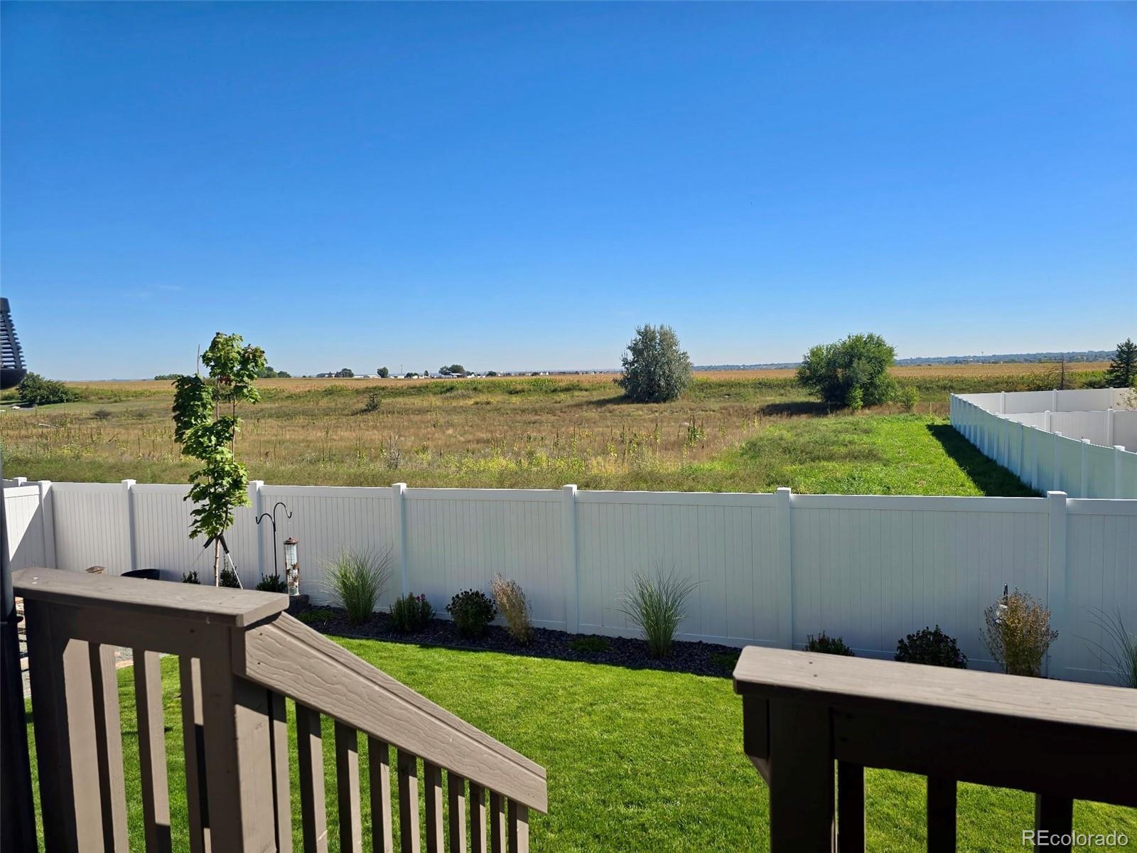 Photo of Listing #9709072