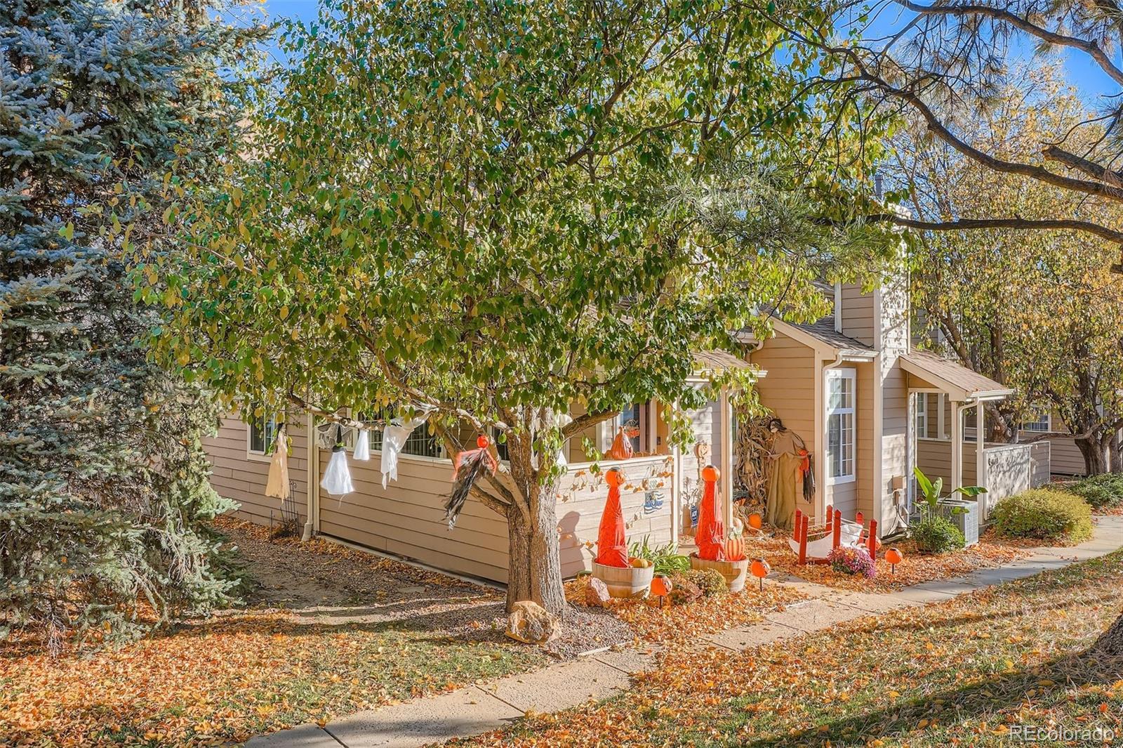 Photo of Listing #9861944