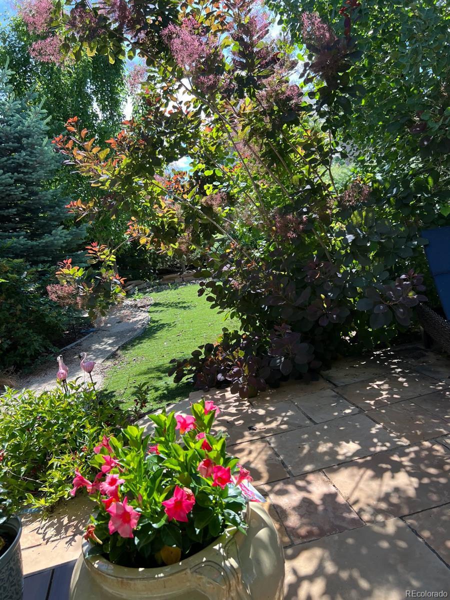 Photo of Listing #9865515