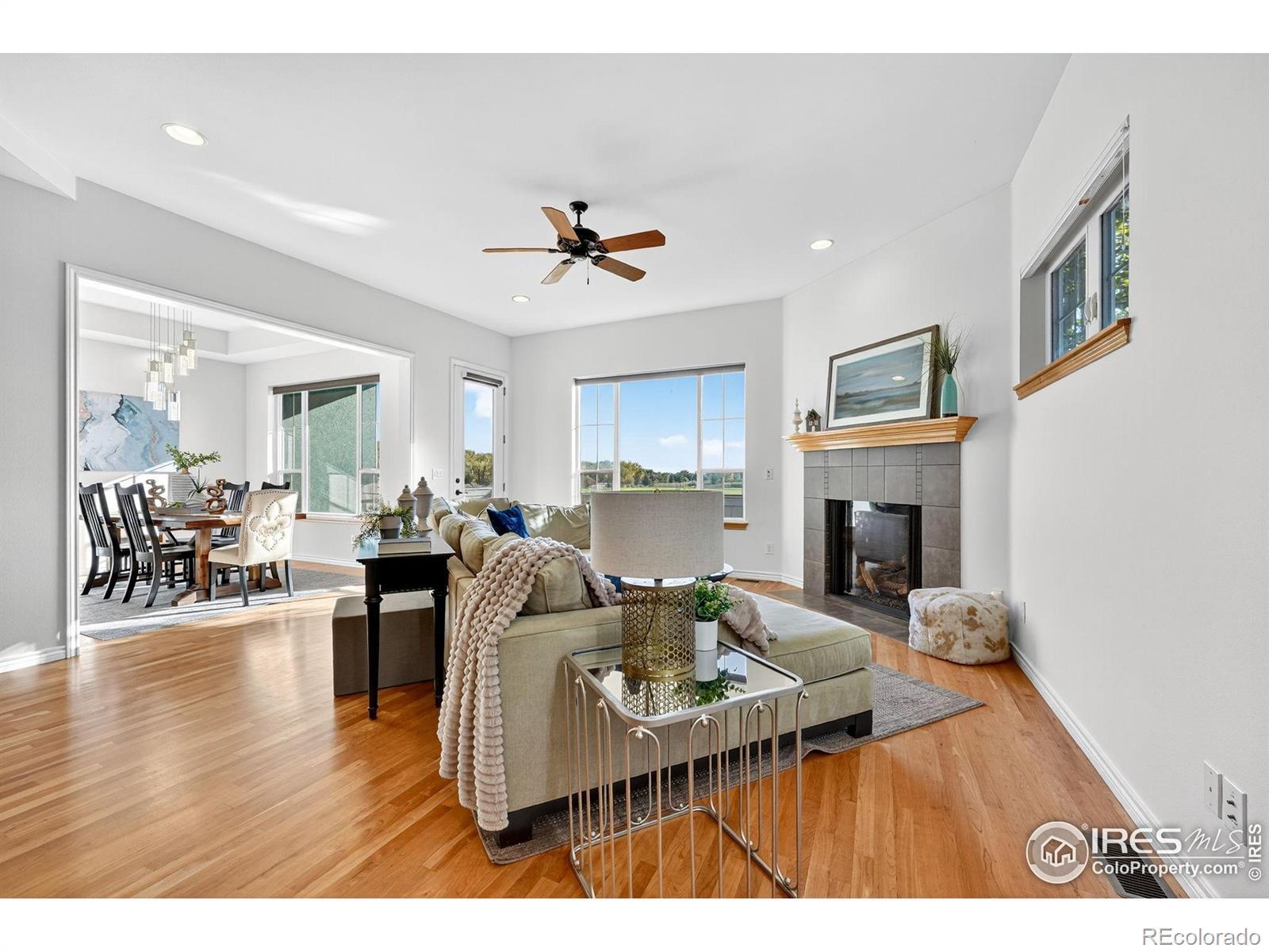 Photo of Listing #IR1018842