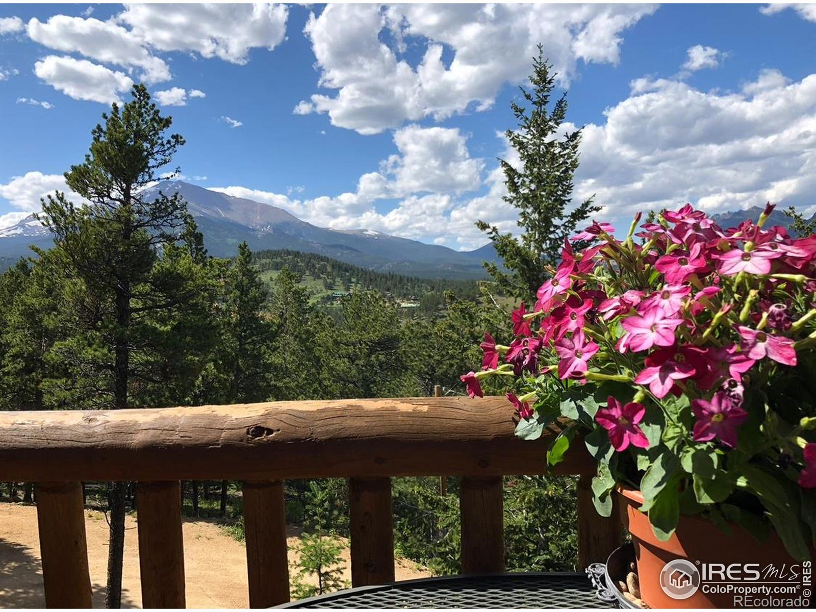 Photo of Listing #IR1040180