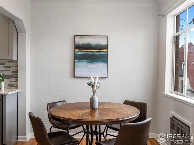 1130 N Pennsylvania Street 306, Denver