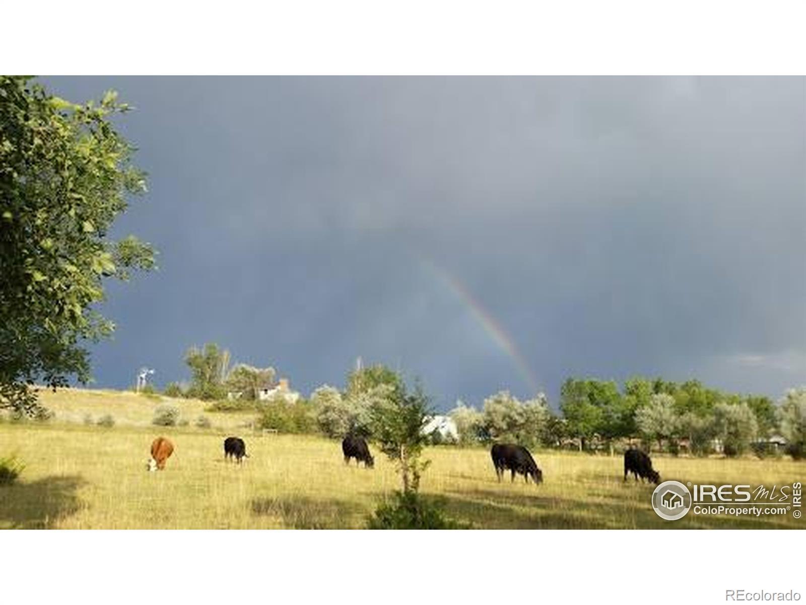 Photo of Listing #IR1041206