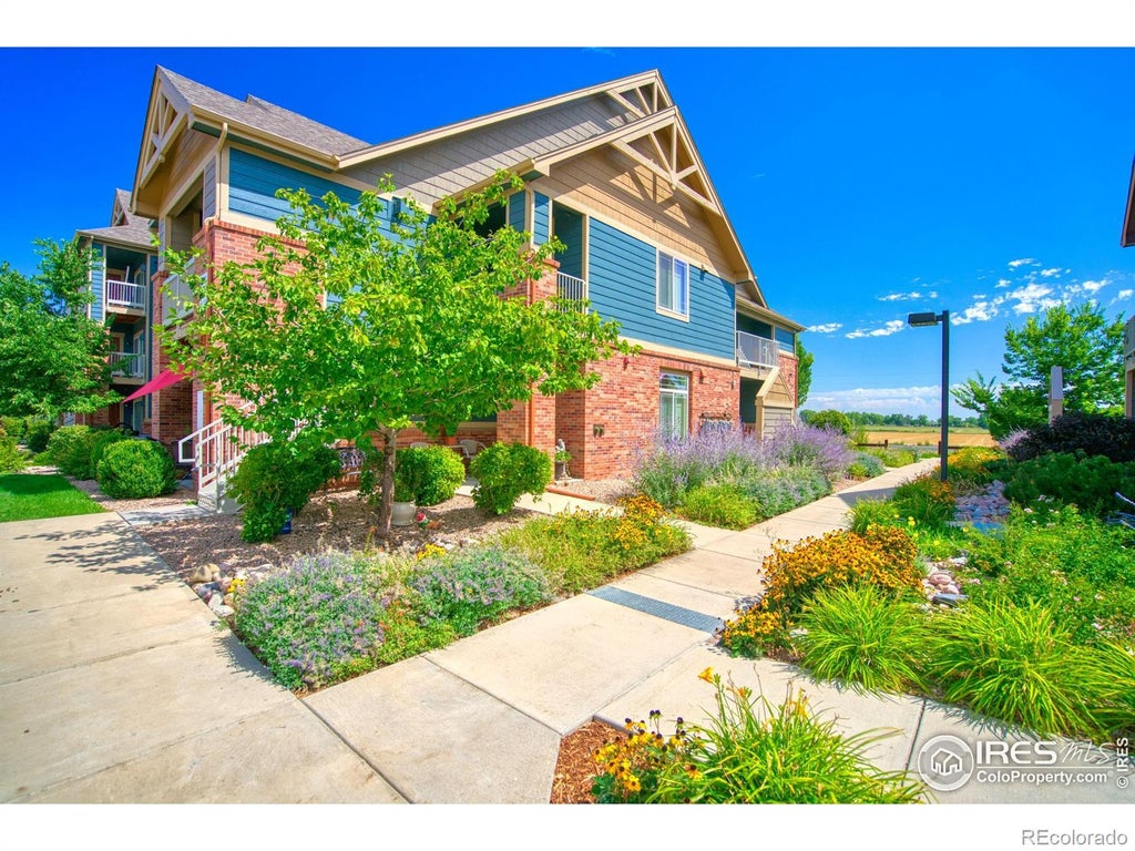 804 Summer Hawk Drive 203, Longmont