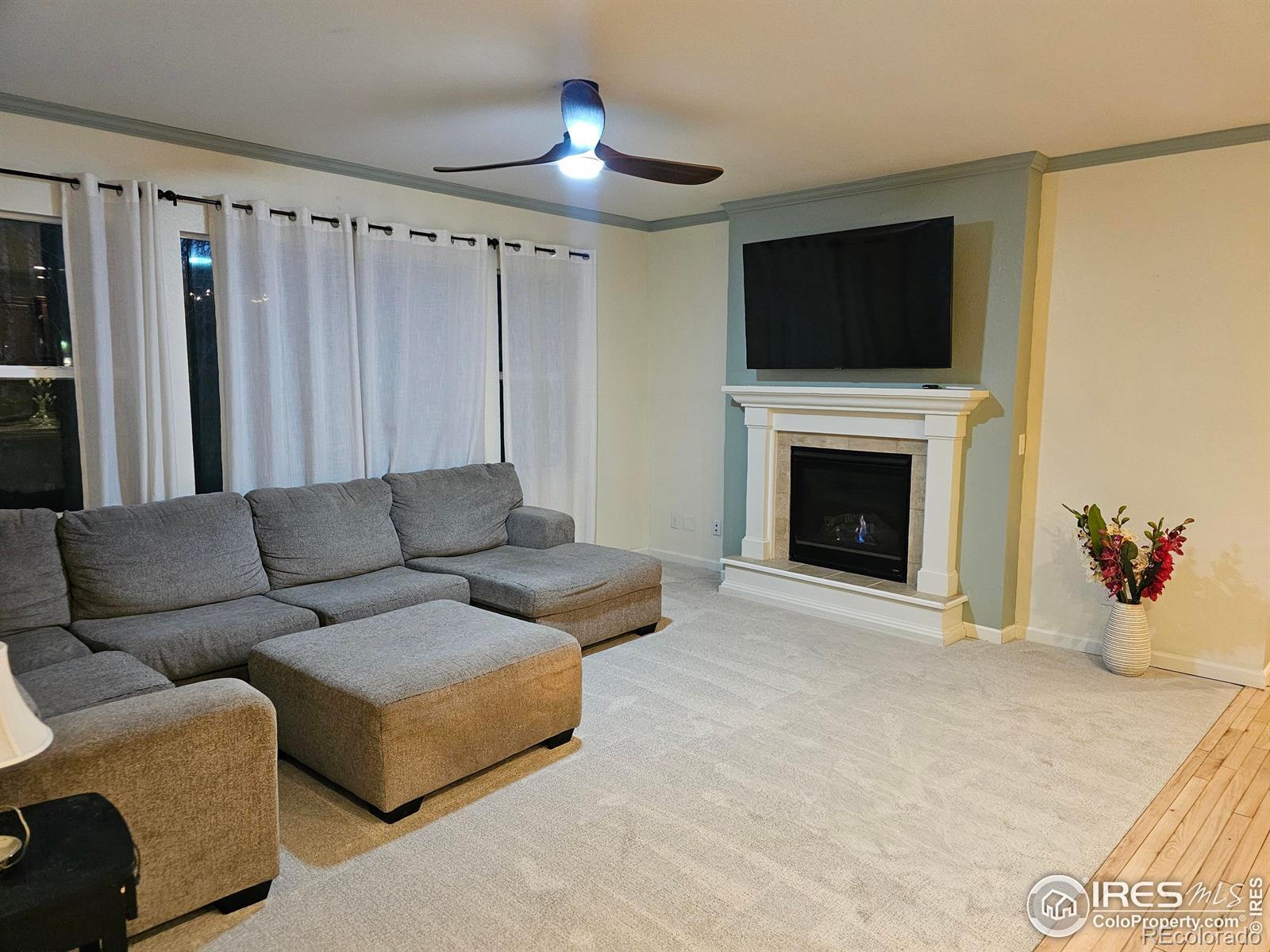 Photo of Listing #IR1043504