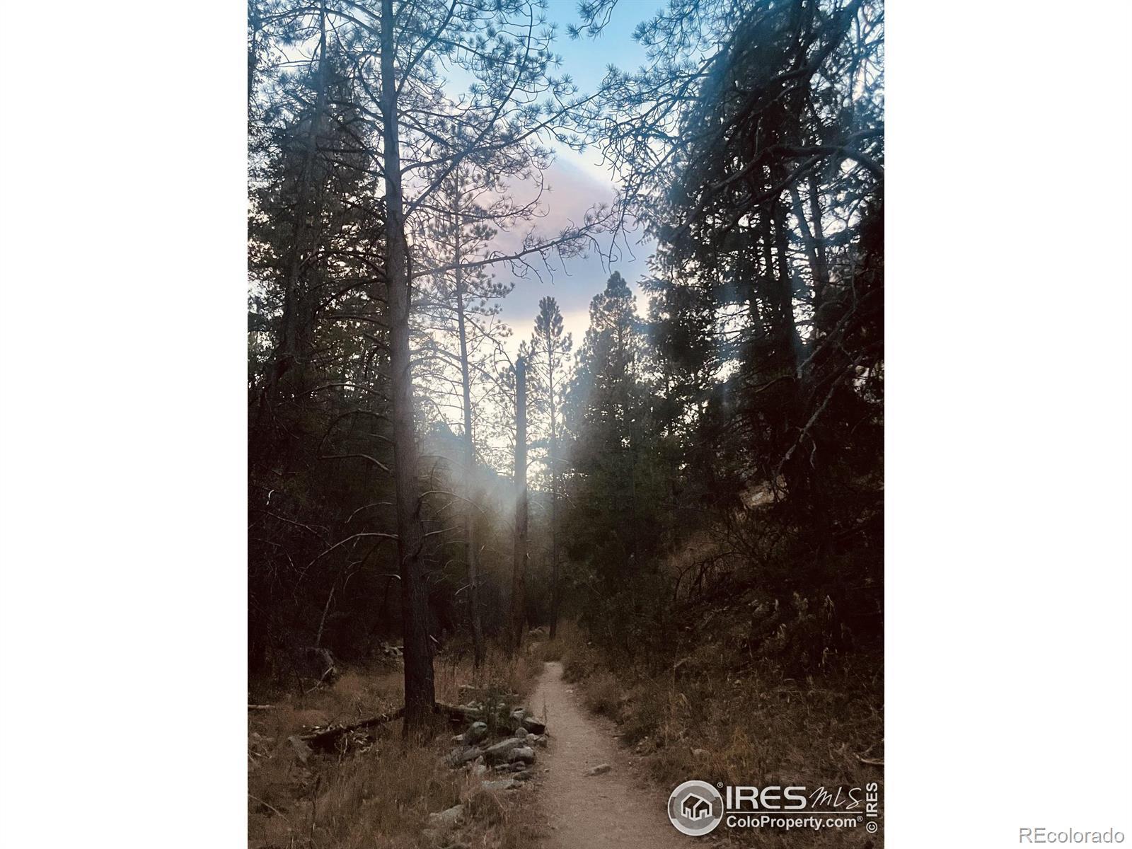 Photo of Listing #IR1044904