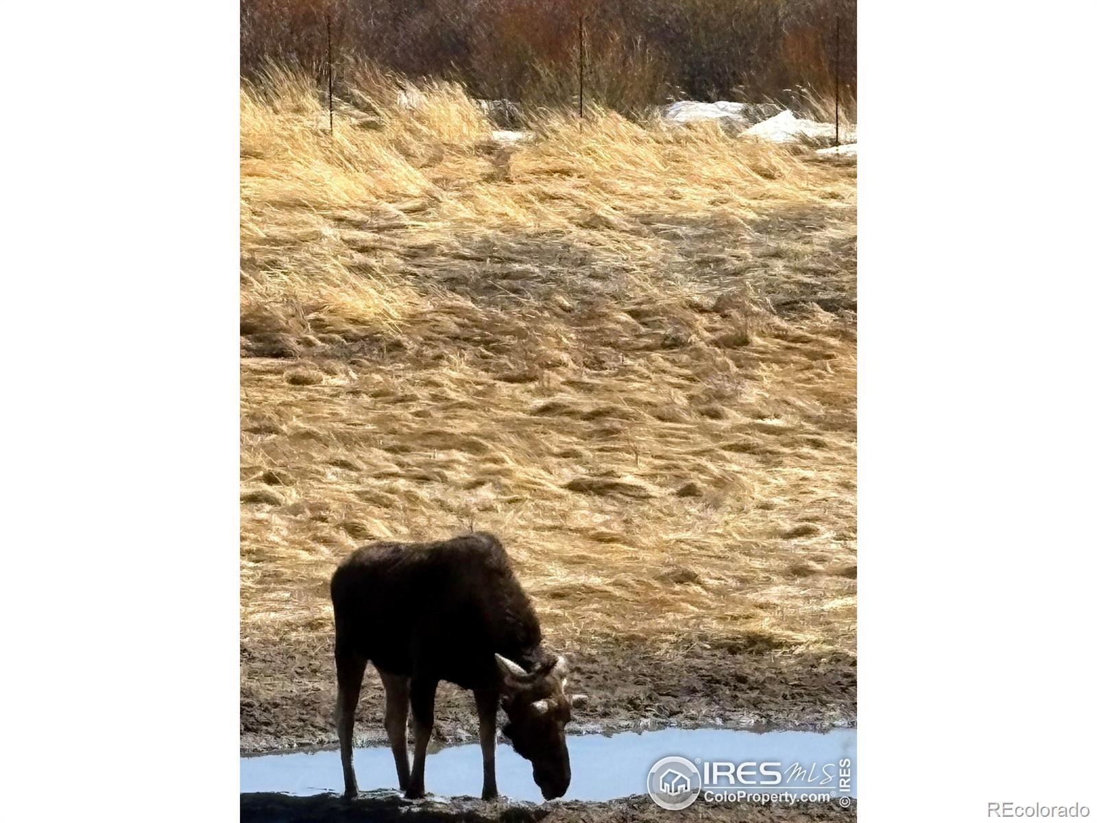 Photo of Listing #IR1046257