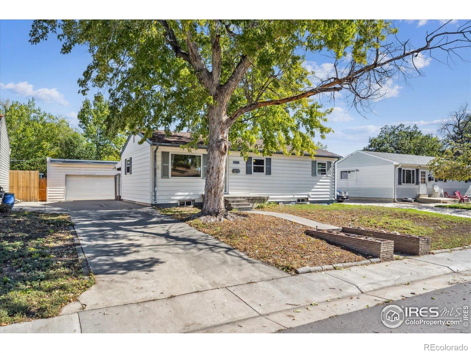 Photo of Listing #IR1049292