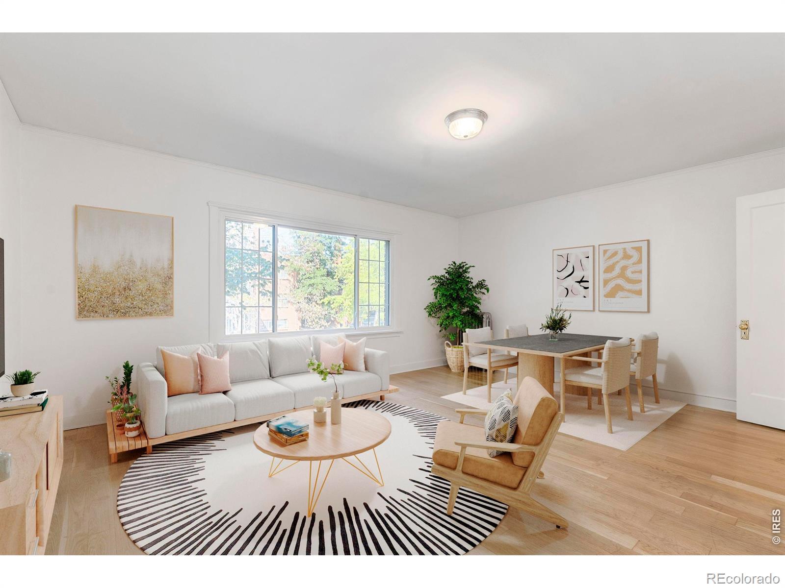 Photo of Listing #IR1052427