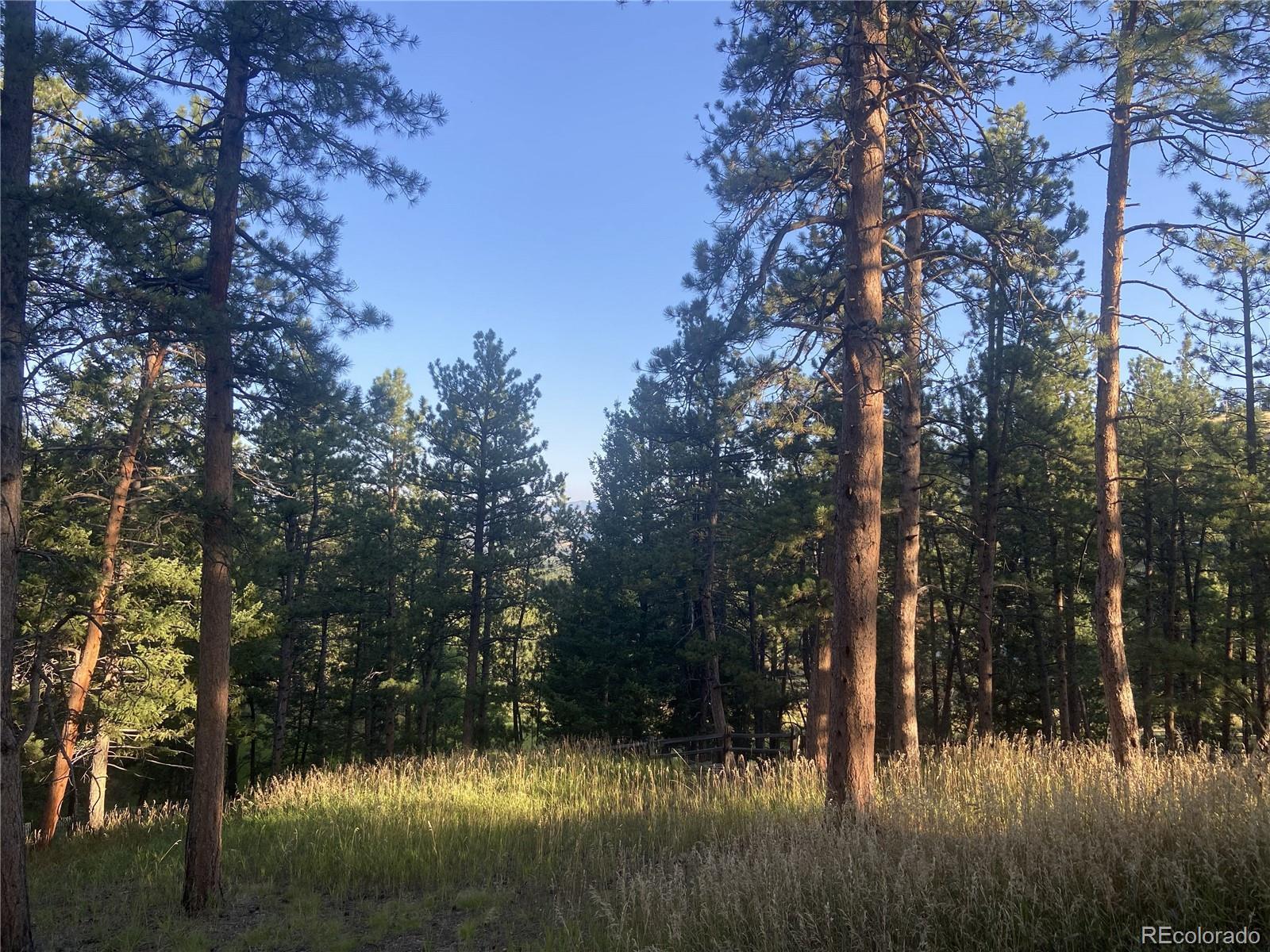 Photo of Listing #8459432