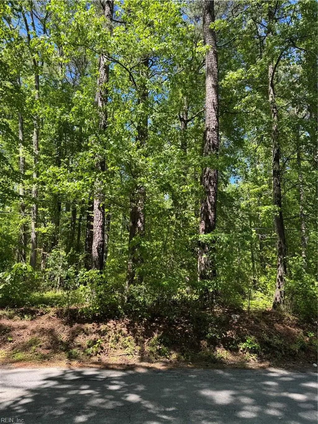 Lot 80 Pughsville Rd, Suffolk