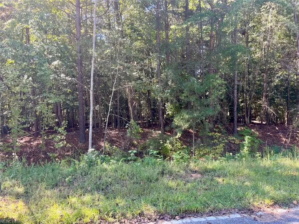 5329 Ridgewood Hls, James City County