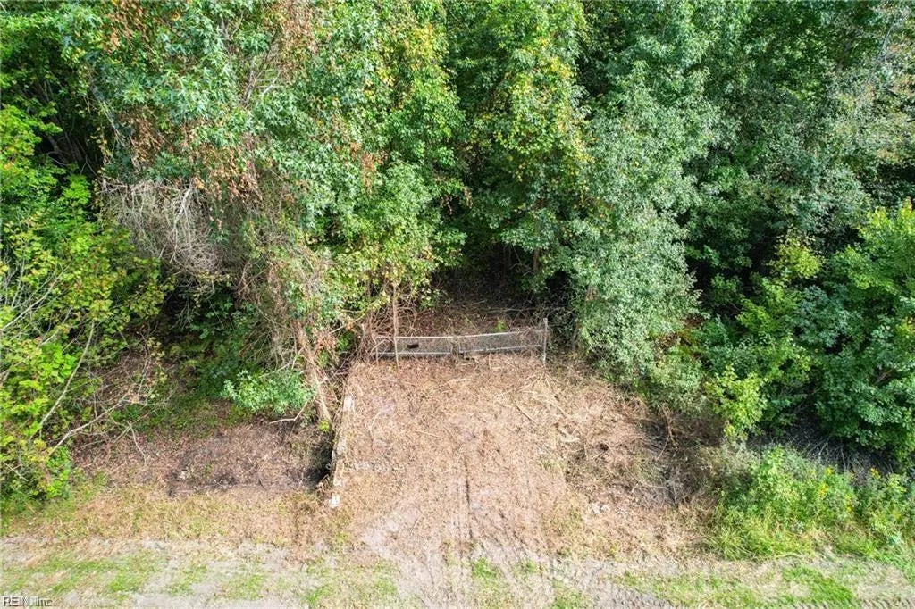 2.5 Ac Dismal Swamp Canal Trl, Chesapeake