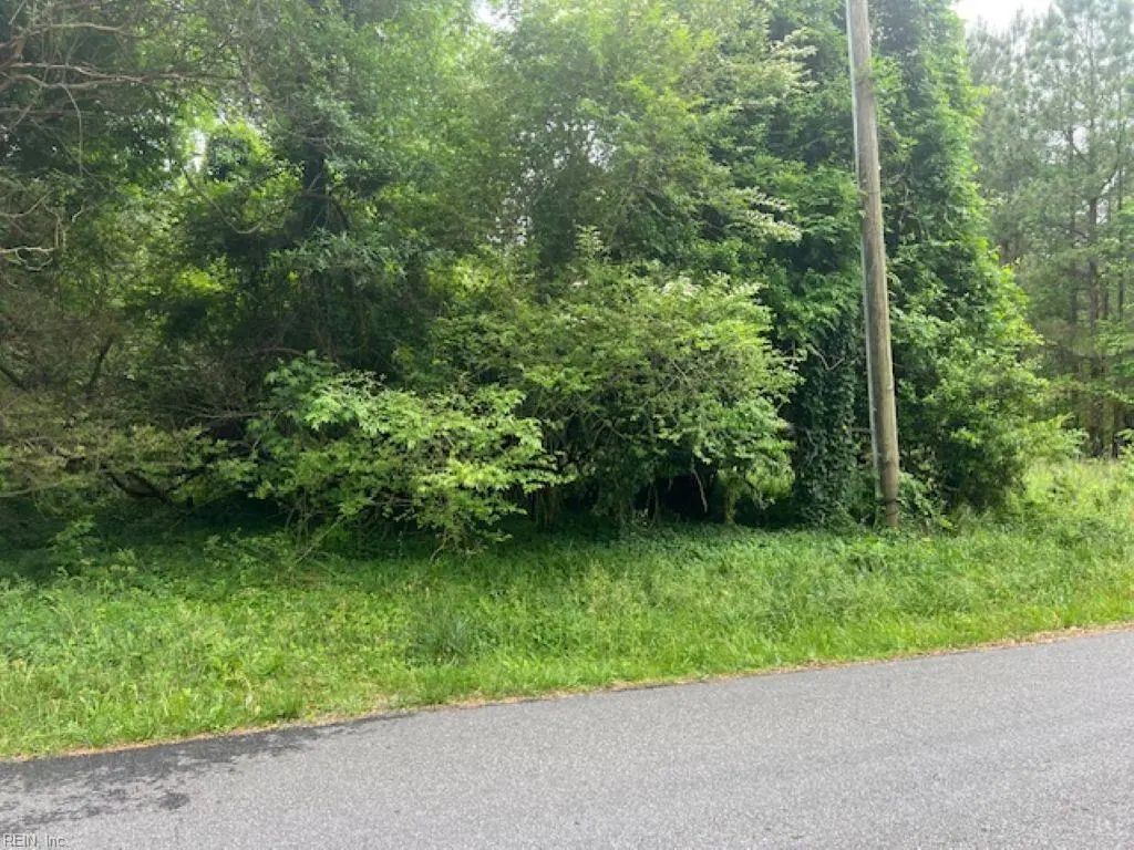 1 Acre Mansion Ave, Surry County