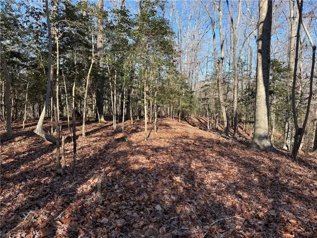 5 Meadow Cir, James City County