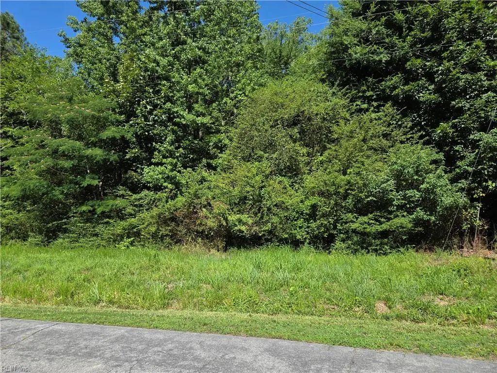 Lot 2 Branch Bridge St, Southampton County