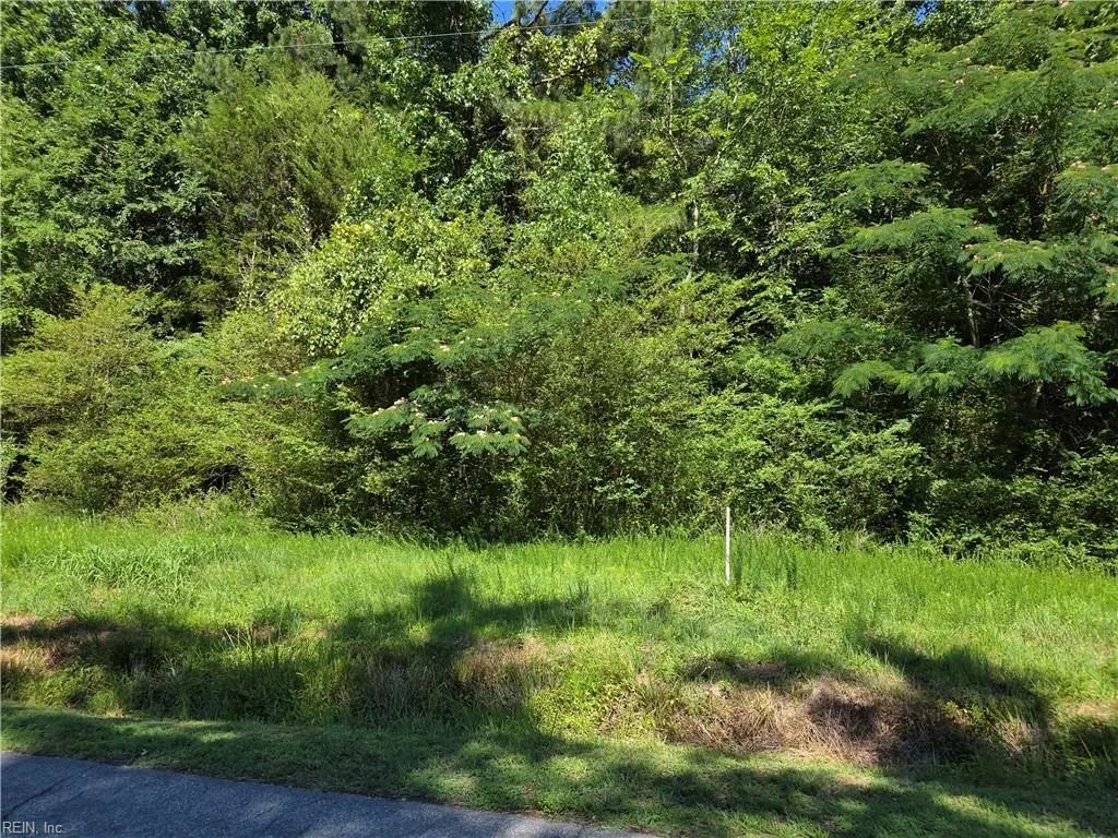 Lot 3 Branch Bridge St, Southampton County