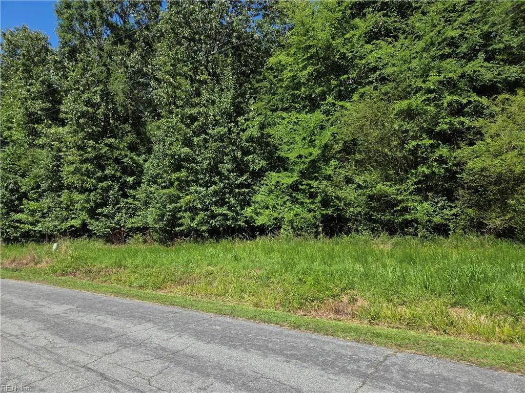 Lot 4 Branch Bridge St, Southampton County