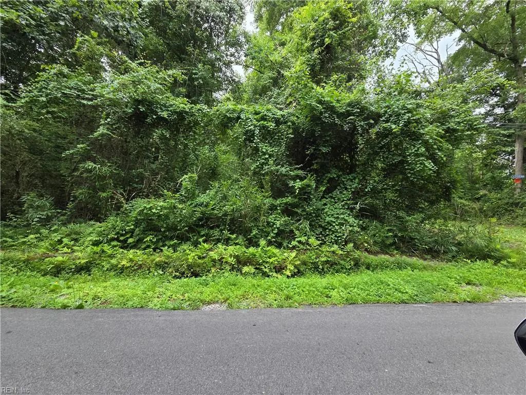 .37 Acre Mineral Spring Rd, Suffolk