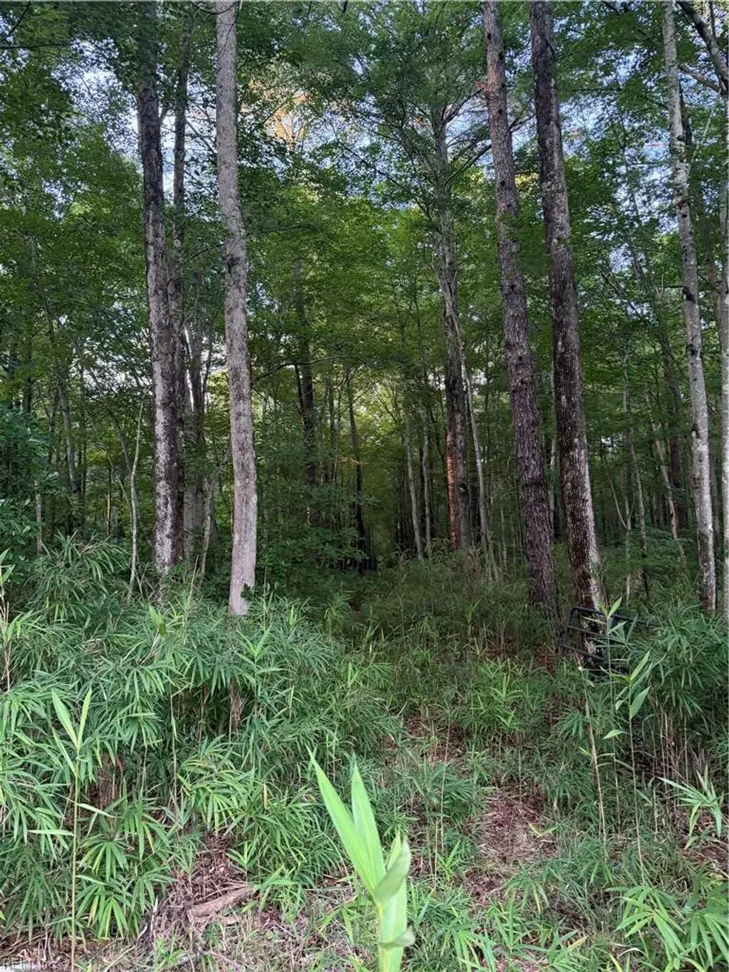 Lot 9 Tuck St, Chesapeake