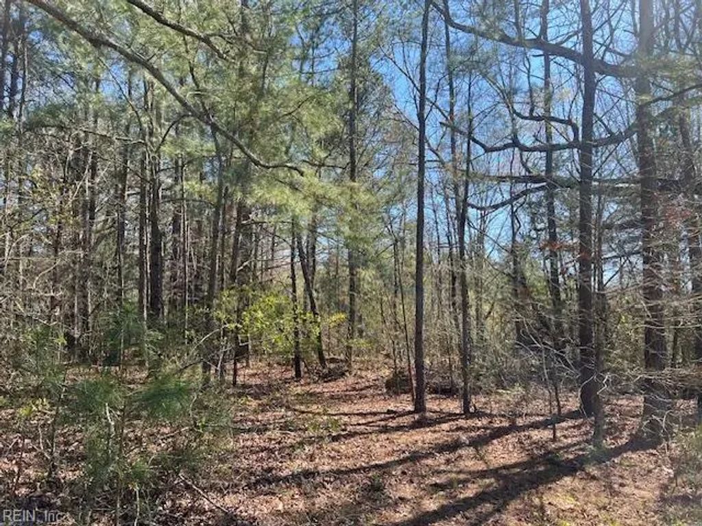 00 Carsley Rd, Surry County