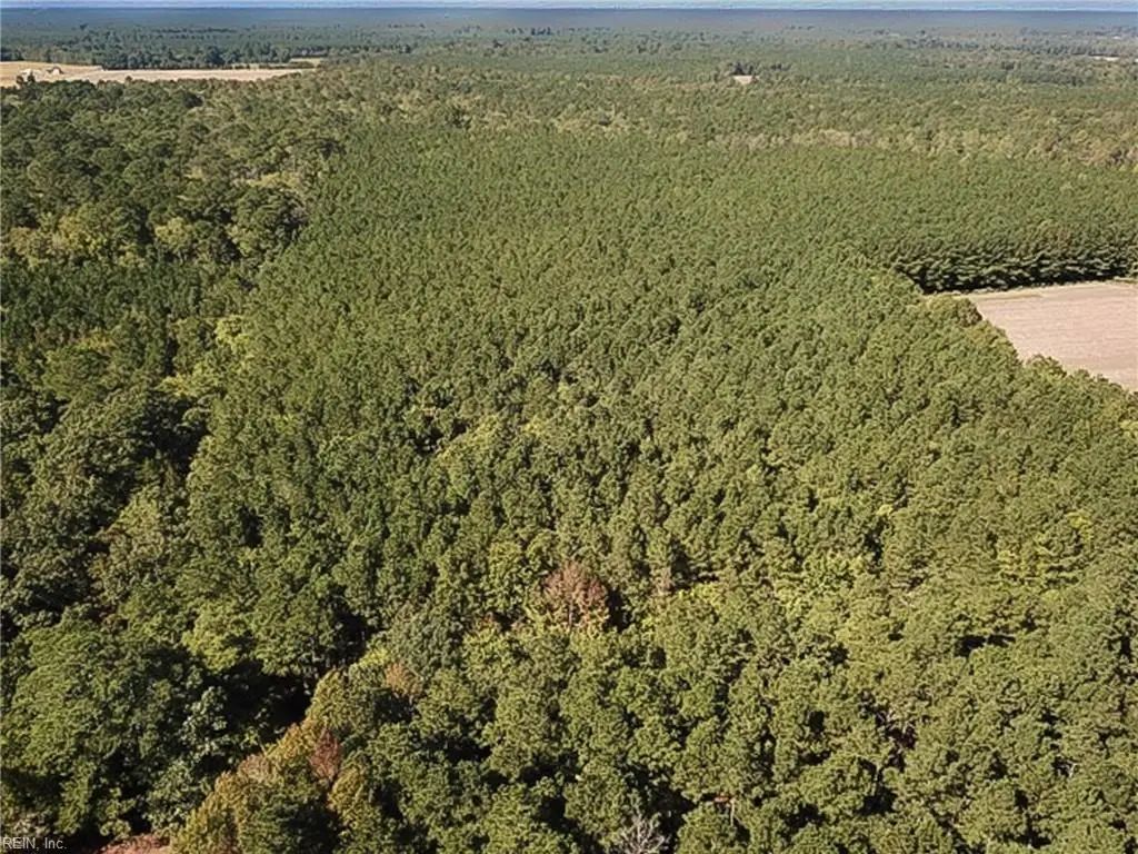 15 Acres Cypress Chapel Rd, Suffolk