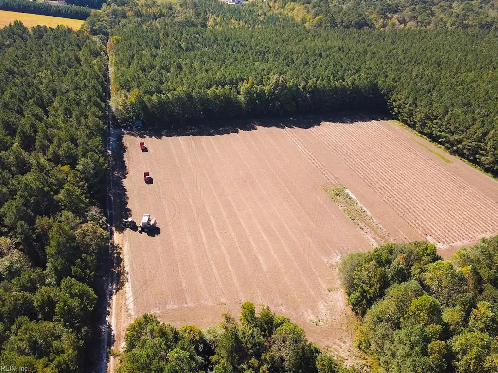45.5 Acres Cypress Chapel Rd, Suffolk