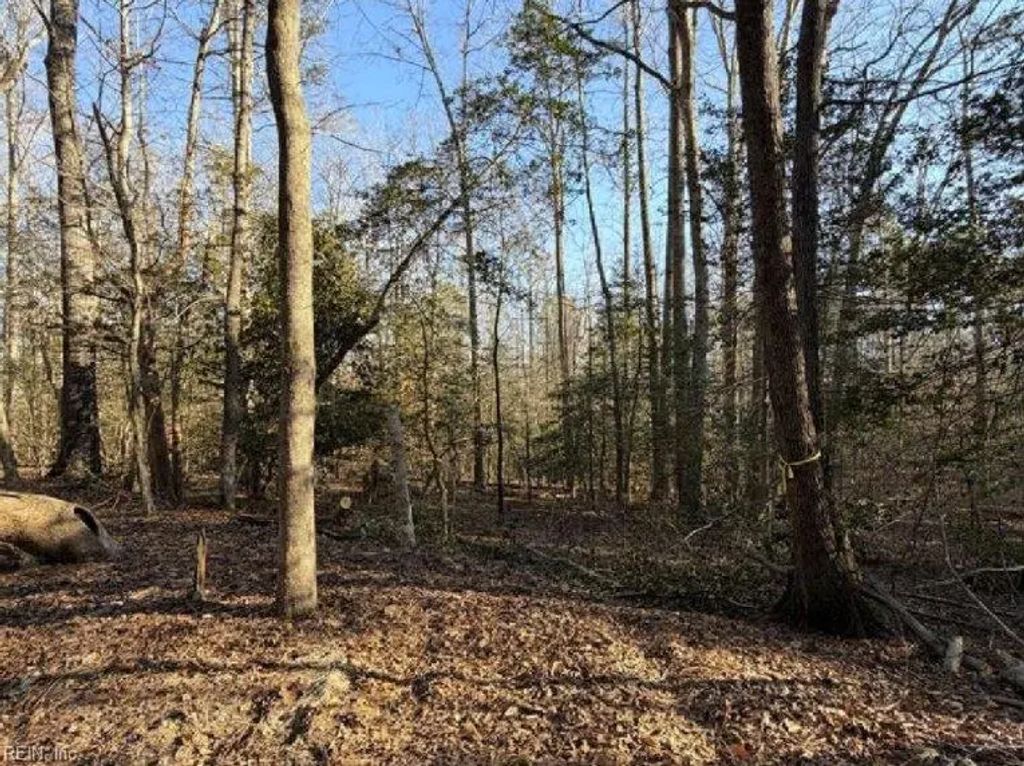 4.68ac King William Rd, King William County
