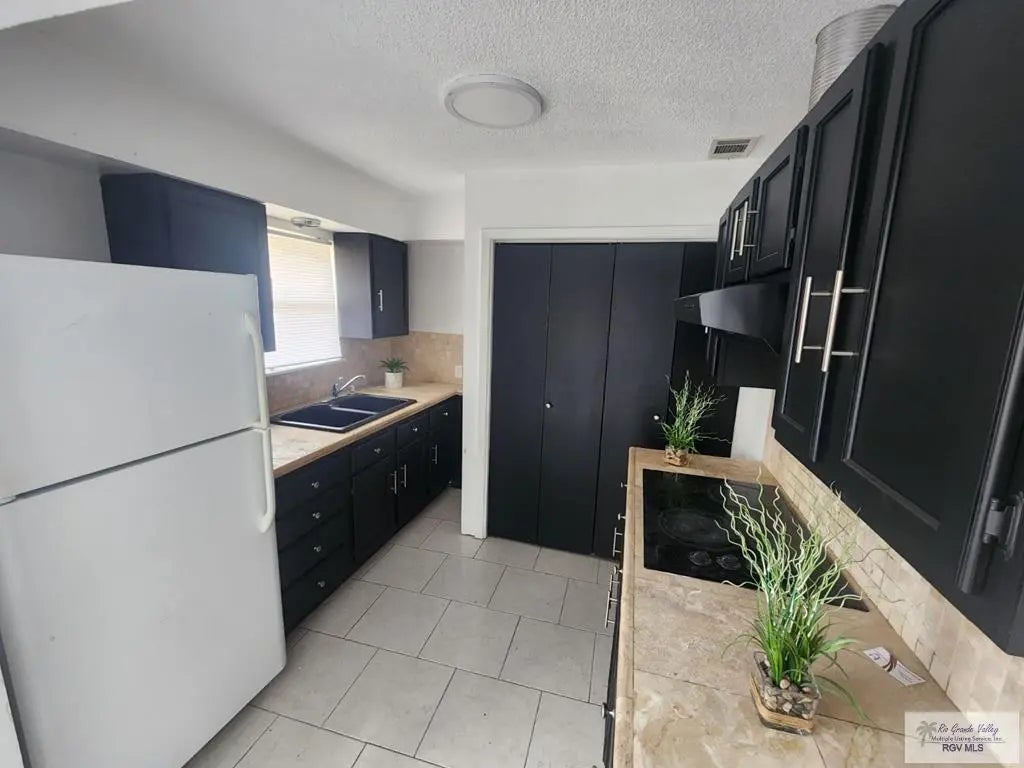 205 Calle Amistosa 203, BROWNSVILLE