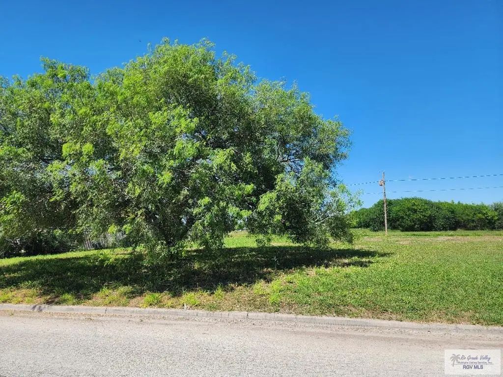 Kika De La Garza Cir., HARLINGEN