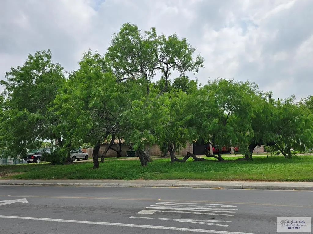 Palm Blvd., BROWNSVILLE