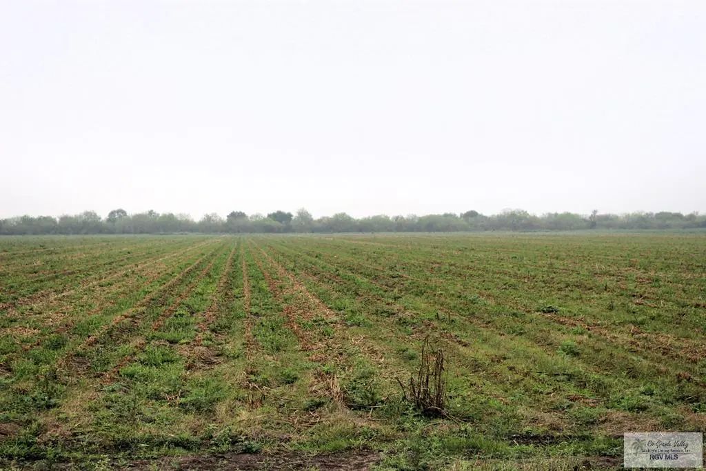 Fm 2556, SANTA ROSA